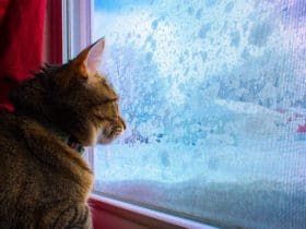 Faire des économies de chauffage