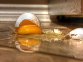 Nettoyer facilement un œuf tombé par terre