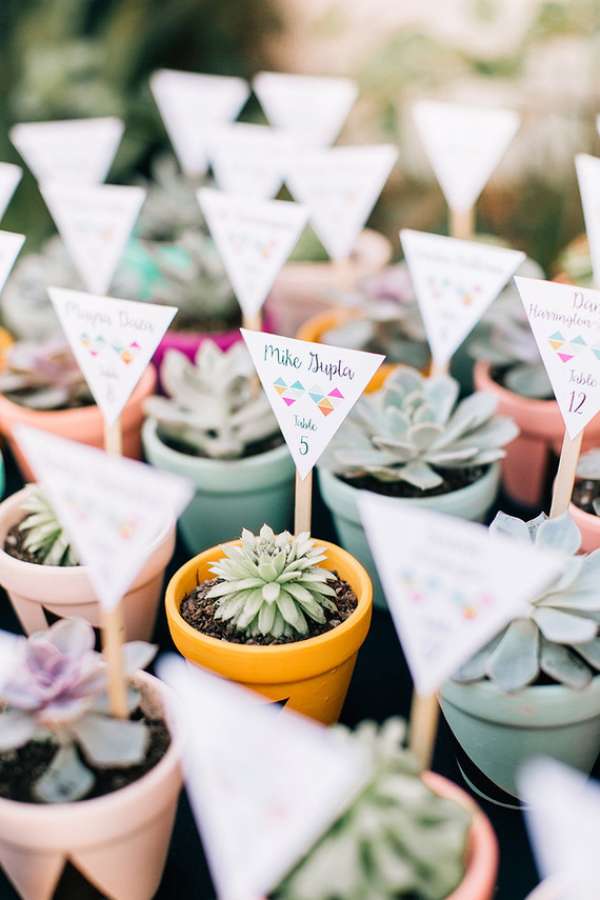 Plante dans un pot