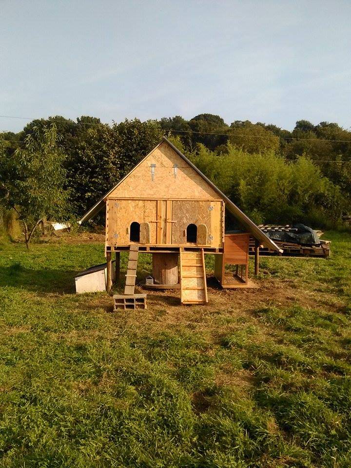 Poulailler cabane en récup