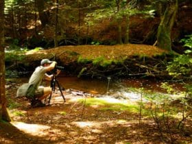 Conseils pour réussir vos photos de plein-air