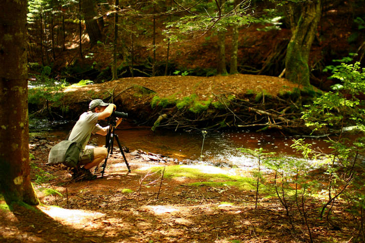 Conseils pour réussir vos photos de plein-air