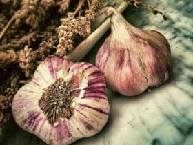 Les bienfaits de l'ail
