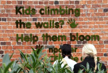 Graffiti en Mousse Végétale pour Décorer Vos Murs