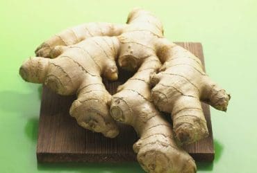 Les bienfaits du gingembre