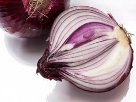 Les bienfaits de l’oignon