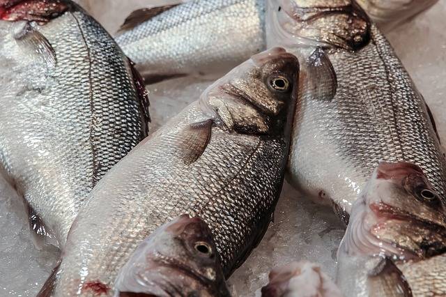 Écailler un poisson facilement