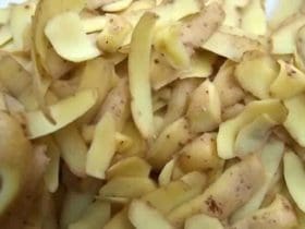 Zéro Déchet : Astuces et Recettes pour Valoriser les Pelures de Pommes de T