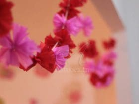 Guirlande de pompons en papier crépon