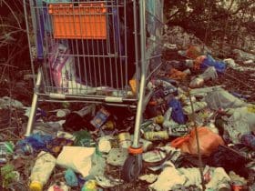 Comment réduire mes déchets au quotidien