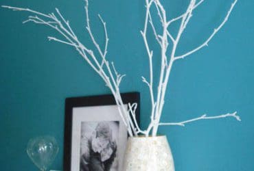 Branches d'arbres décoratives