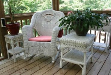 Nettoyer et entretenir l’osier