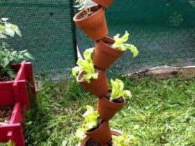 Colonne de pots de fleurs