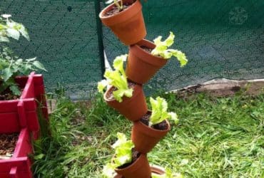 Colonne de pots de fleurs