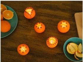 Photophores avec des oranges