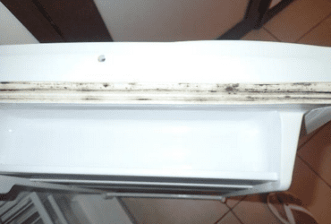 Comment Éliminer la Moisissure des Joints de Réfrigérateur : Astuces Utiles