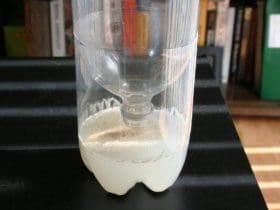 Piège à moustiques écolo