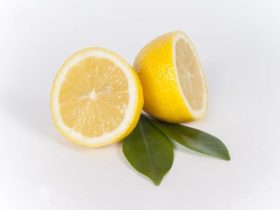 Eviter de gaspiller les citrons entamés