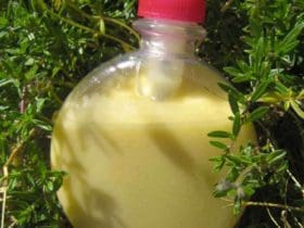 Liniment bio fait-maison