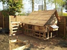 Poulailler urbain en palettes de récupération