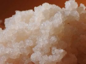 Kéfir de Lait : Découvrez les Vertus Exceptionnelles de cette Boisson