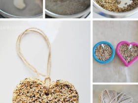 Mangeoire d'oiseaux à suspendre