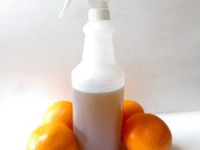 Répulsif naturel pour chat