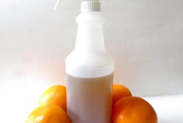 Répulsif naturel pour chat