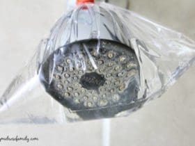 Nettoyer le Pommeau de Douche avec des Produits Naturels et Écologiques