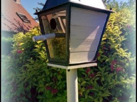 Nichoir à oiseaux avec une vieille lanterne