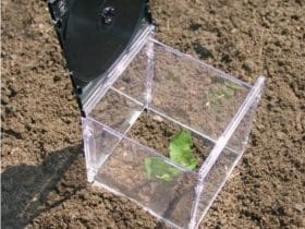 Mini serre avec des pochettes de CD