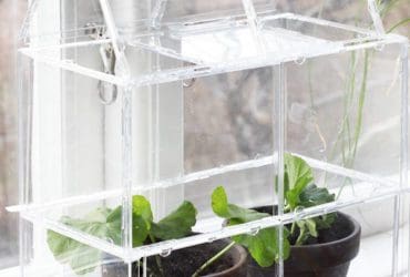 Serre avec des pochettes de CD