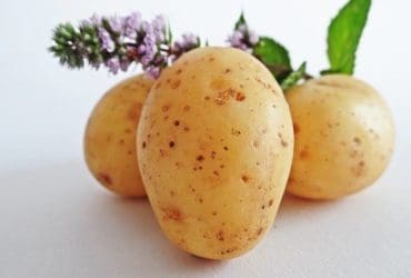 Pommes de terre contre les cernes et les poches sous les yeux