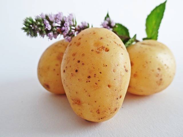 Pommes de terre contre les cernes et les poches sous les yeux