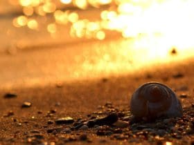 Activités à essayer pendant l'été