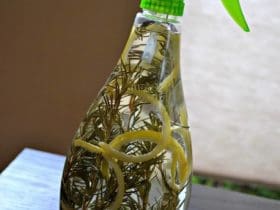 Nettoyant pour jouets sans produits chimiques