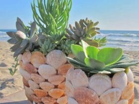 Pots de fleurs en coquillages