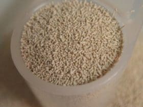 Les atouts santé de la levure de bière