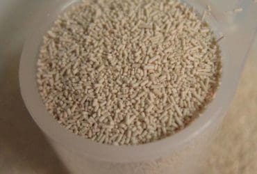 Les atouts santé de la levure de bière