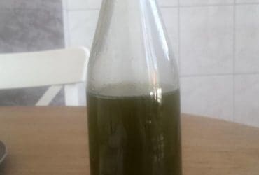 Liquide vaisselle aux feuilles de lierre