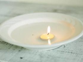 Pièges à puces fait-maison