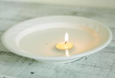 Pièges à puces fait-maison