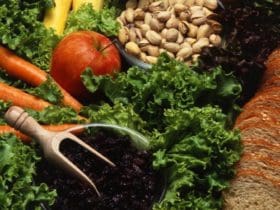 Les bonnes combinaisons alimentaires pour une bonne santé