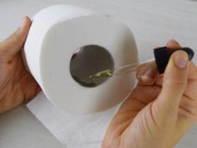 Parfumer les WC naturellement