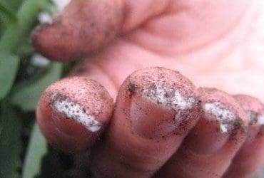 Protéger les ongles avant de jardiner