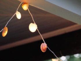 Guirlande avec des coquillages