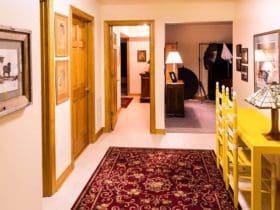 Nettoyer à sec les moquettes et les tapis