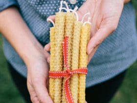 Bougies en cire d'abeille naturelle