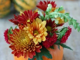 Transformer une citrouille en vase