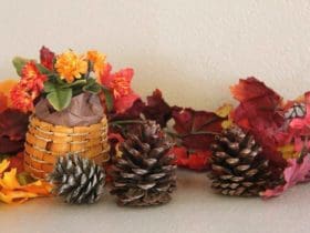 Pommes de pin parfumées à la cannelle